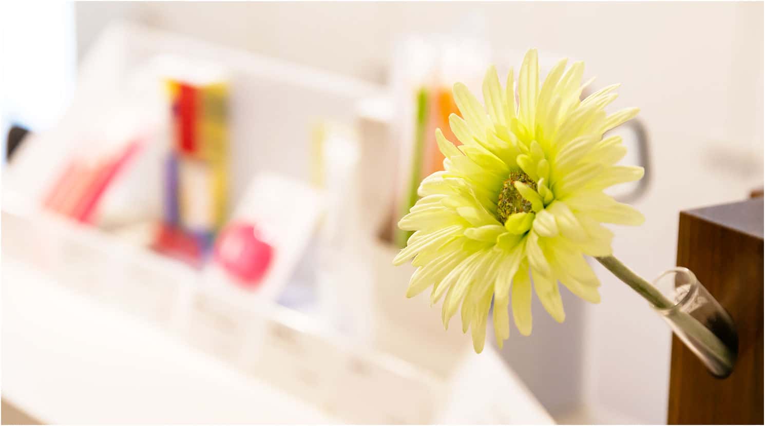 価格はオールインクルーシブ